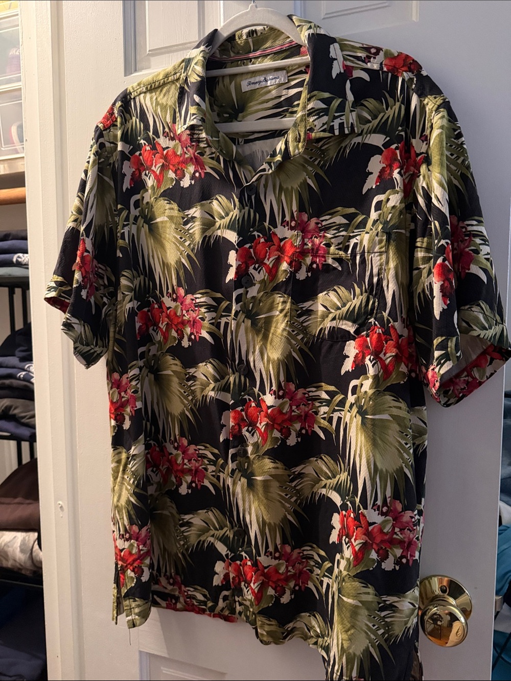 Tommy Bahama Men’s 100% Silk Button-Up Shirts 2-Pack (L)